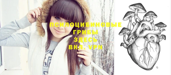 индика Балахна