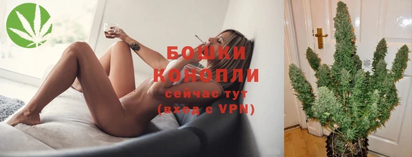 индика Балахна