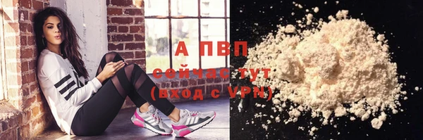 ГАЛЛЮЦИНОГЕННЫЕ ГРИБЫ Покачи