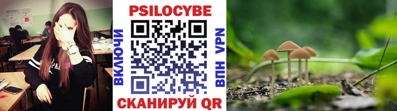 Галлюциногенные грибы мицелий  где купить   Северо-Курильск 